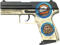 StatTrak™ P2000 | Ivory (Well-Worn)