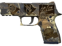 Souvenir P250 | Contamination (Field-Tested)
